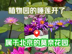-国家植物园南园