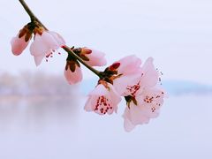 -颐和园