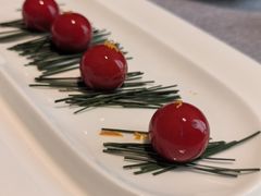 -秀儿四九城·新京菜(亚运村鸟巢店)