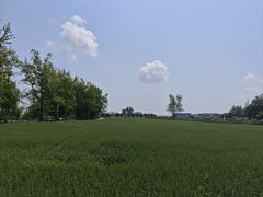 -中国天府农业博览园