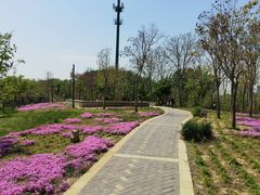-东昌湖风景区