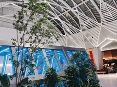 -童程童美·信息学竞赛·机器人编程·少儿编程(五棵松万达校区)