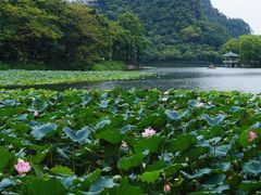 -星湖旅游景区七星岩