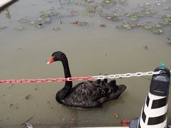 -琅岐红光湖公园