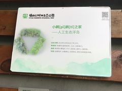-福田红树林生态公园