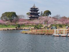 -上海海湾国家森林公园