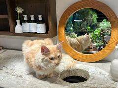 -自由生长植物工作室(深港花卉中心店)