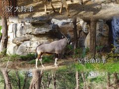 -北京野生动物园