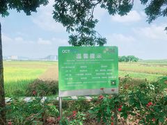 -光明小镇欢乐田园