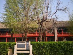 -北京石刻艺术博物馆(五塔寺)