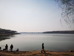 -丁香湖公园