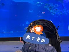 -烟台海昌鲸鲨海洋公园