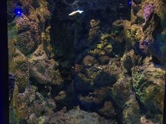 -大连圣亚海洋世界