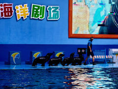 -蓬莱欧乐堡海洋极地世界