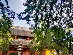 -西园戒幢律寺