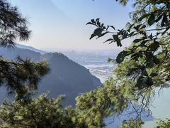 -铁山坪森林公园