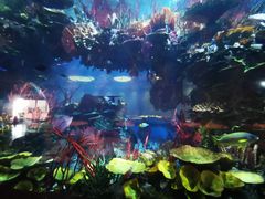 -迪拜帆船酒店海底餐厅