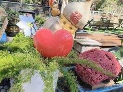 -丽泽山庄·生态怀柔菜·虹鳟鱼(红螺寺店)
