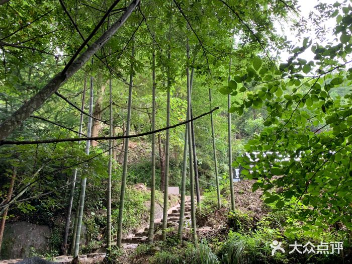 大围山国家森林公园图片