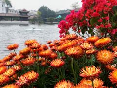 -荔湾湖公园