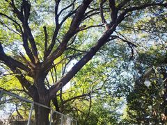 -长辛店二七公园