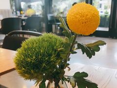 -gaga(深圳南山益田假日广场店)