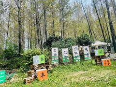 -林间山庄