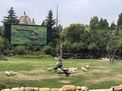 -郑州银基黄帝宫御温泉