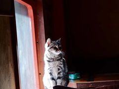 -凡人&庄阿姨的辣(万寿亭店)