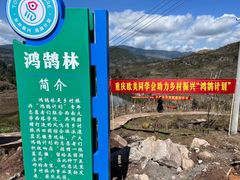 -丰都鬼城名山景区