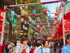 -越秀西湖花市(广州城市广场花卉店)