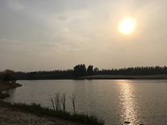 -东郊湿地公园