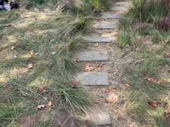 -上海山野camping·户外天幕烧烤·团建拓展营地