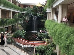 大堂-白天鹅宾馆·流浮阁咖啡厅