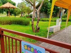 -王借岗森林公园