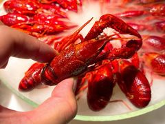 -红盔甲·小龙虾(长寿路店)