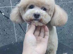 -宠物家(大兴旧宫店)