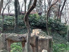 -句容茅山景区