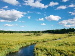 -塞罕坝国家级自然保护区