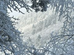 -浙西天池景区