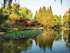 -洛阳市隋唐城遗址植物园