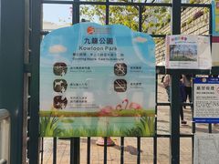 -九龙公园