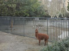 -成都动物园