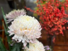 -我嘉书房(南翔名士居店)