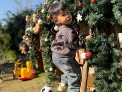 -HERRE·FARM 赫尔露营农场·团建聚会包场