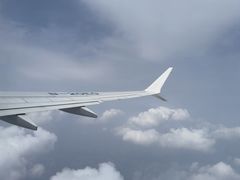 -郑州新郑国际机场-T2航站楼