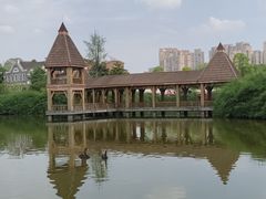 -成都南湖公园