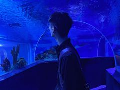 -成都浩海立方海洋公园