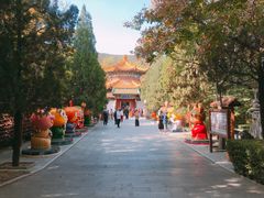 -龙口南山旅游景区