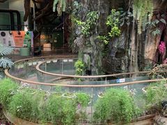 -正佳雨林生态植物园